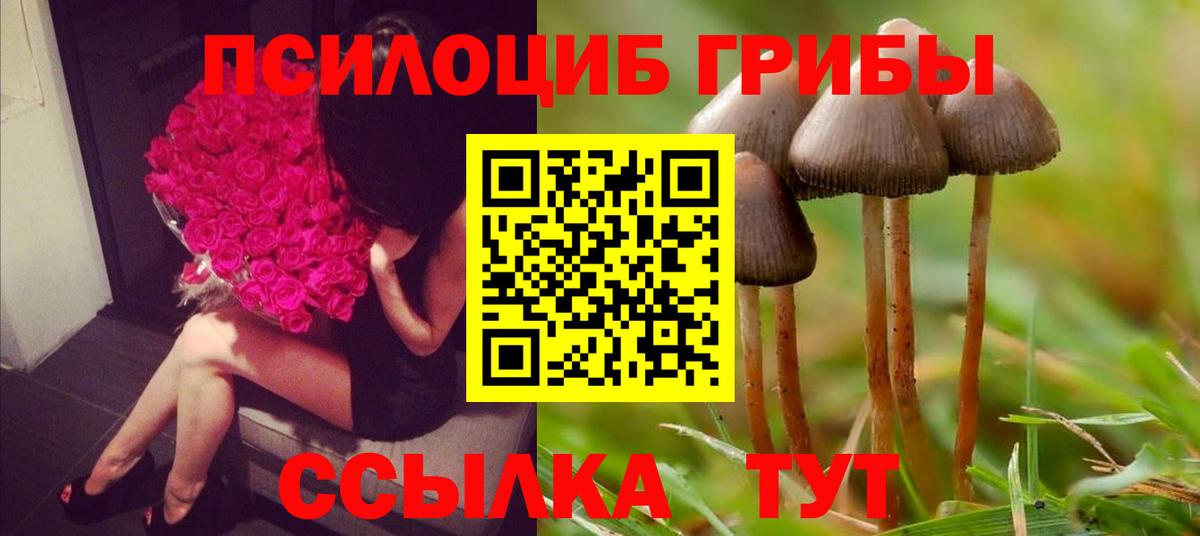 Галлюциногенные грибы Psilocybine cubensis  Вход с VPN  Ступино 